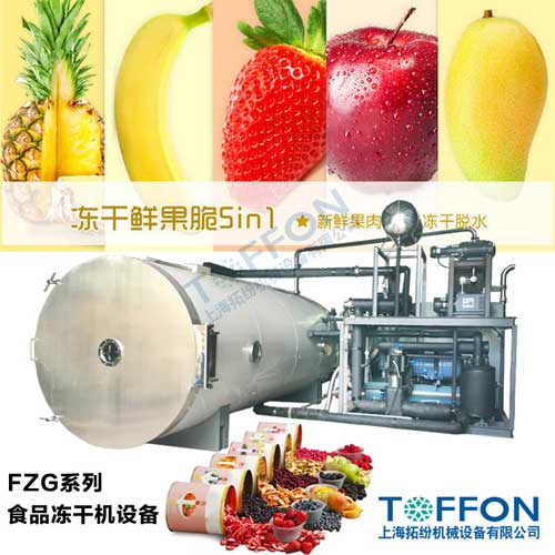 拓紛FZG食品凍干機設備.jpg