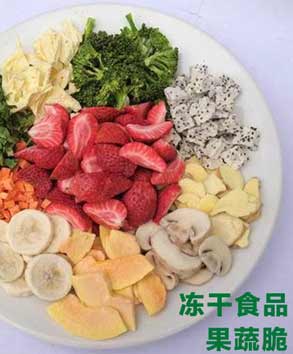 200平方凍干果蔬深加工成套設備報價方案