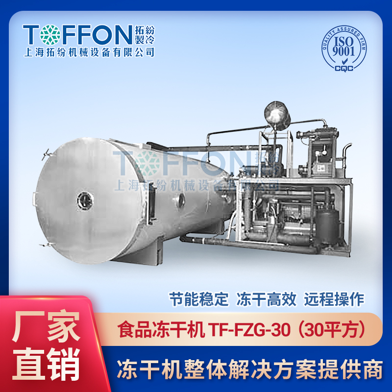 蜂王漿冷凍干燥機 凍干食品設備TF-FZG-30