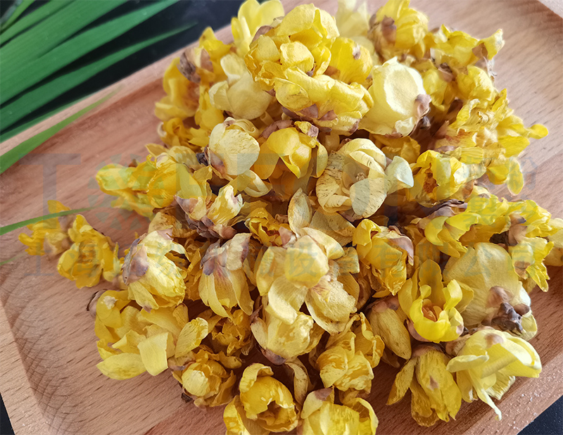 臘梅花凍干，食品凍干機應(yīng)用于臘梅花凍干案例