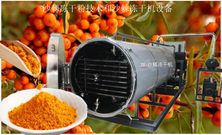 圖片2.png