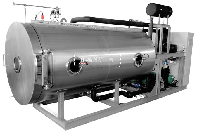 冷凍干燥機|凍干機|真空冷凍干燥機|大型冷凍干燥機|食品凍干機|制藥真空冷凍干燥機|食品凍干設(shè)備|制藥冷凍干燥機