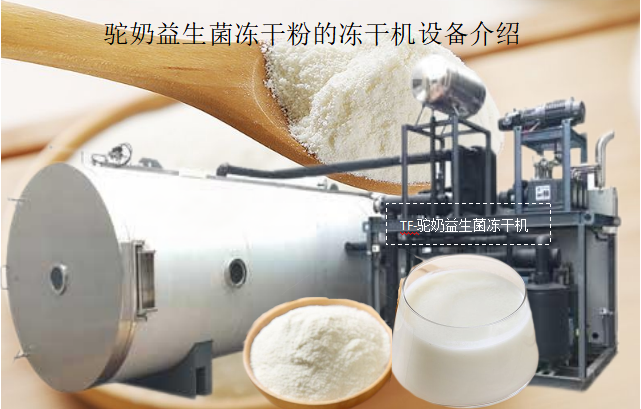 冷凍干燥機(jī)|凍干機(jī)|真空冷凍干燥機(jī)|大型冷凍干燥機(jī)|食品凍干機(jī)|制藥真空冷凍干燥機(jī)|食品凍干設(shè)備|制藥冷凍干燥機(jī)