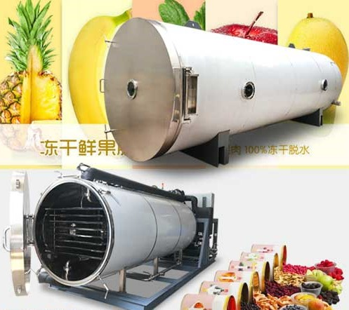 冷凍干燥機|凍干機|真空冷凍干燥機|大型冷凍干燥機|食品凍干機|制藥真空冷凍干燥機|食品凍干設備|制藥冷凍干燥機