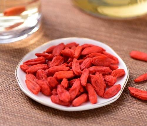 枸杞凍干，食品真空冷凍干燥機(jī)應(yīng)用于枸杞凍干