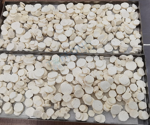 冷凍干燥機|凍干機|真空冷凍干燥機|大型冷凍干燥機|食品凍干機|制藥真空冷凍干燥機|食品凍干設備|制藥冷凍干燥機