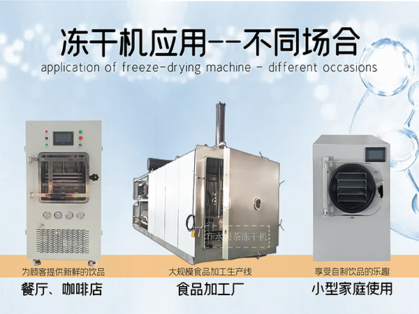 冷凍干燥機|凍干機|真空冷凍干燥機|大型冷凍干燥機|食品凍干機|制藥真空冷凍干燥機|食品凍干設備|制藥冷凍干燥機