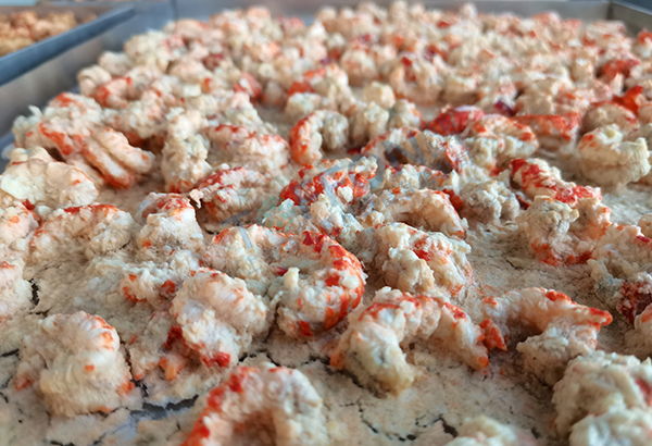 蒜蓉龍蝦凍干：預(yù)制菜凍干生產(chǎn)線和食品凍干機成套設(shè)備