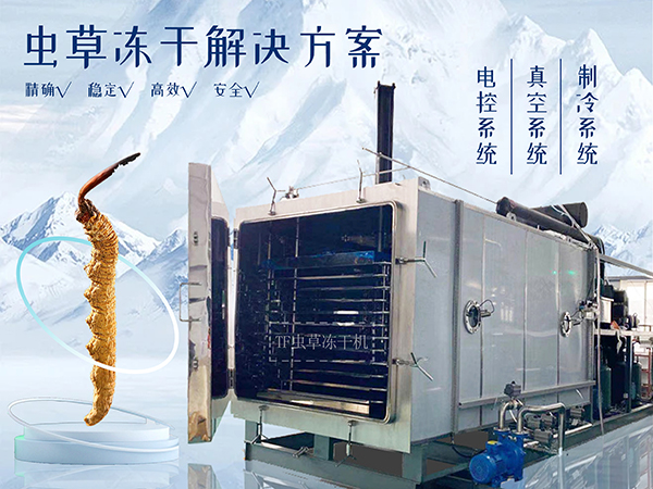 冷凍干燥機|凍干機|真空冷凍干燥機|大型冷凍干燥機|食品凍干機|制藥真空冷凍干燥機|食品凍干設(shè)備|制藥冷凍干燥機