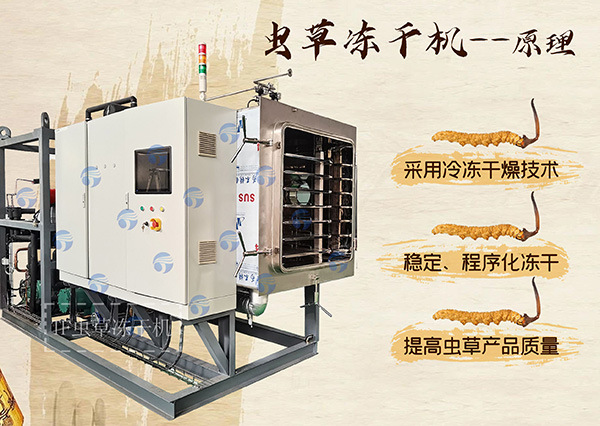 冷凍干燥機|凍干機|真空冷凍干燥機|大型冷凍干燥機|食品凍干機|制藥真空冷凍干燥機|食品凍干設(shè)備|制藥冷凍干燥機