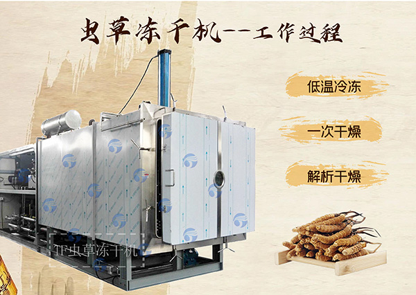 冷凍干燥機|凍干機|真空冷凍干燥機|大型冷凍干燥機|食品凍干機|制藥真空冷凍干燥機|食品凍干設(shè)備|制藥冷凍干燥機