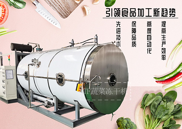 冷凍干燥機|凍干機|真空冷凍干燥機|大型冷凍干燥機|食品凍干機|制藥真空冷凍干燥機|食品凍干設備|制藥冷凍干燥機