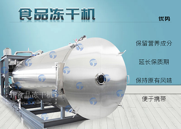 冷凍干燥機|凍干機|真空冷凍干燥機|大型冷凍干燥機|食品凍干機|制藥真空冷凍干燥機|食品凍干設備|制藥冷凍干燥機