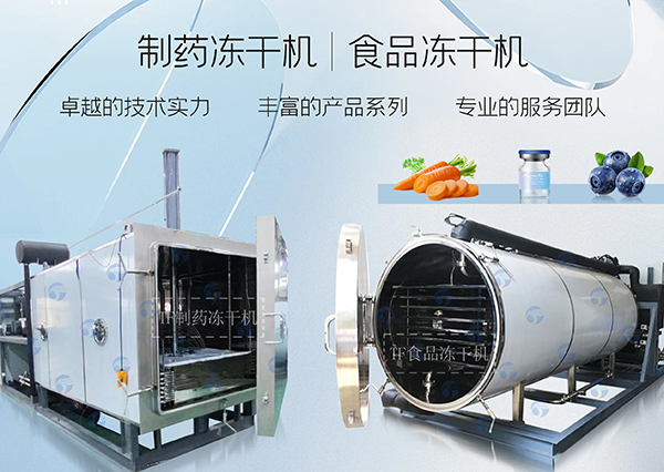 冷凍干燥機|凍干機|真空冷凍干燥機|大型冷凍干燥機|食品凍干機|制藥真空冷凍干燥機|食品凍干設(shè)備|制藥冷凍干燥機
