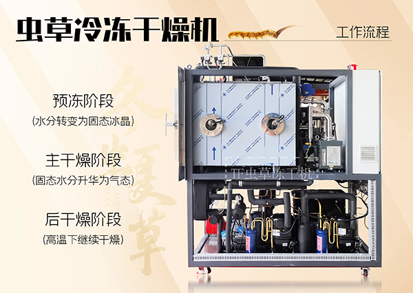 冷凍干燥機|凍干機|真空冷凍干燥機|大型冷凍干燥機|食品凍干機|制藥真空冷凍干燥機|食品凍干設備|制藥冷凍干燥機
