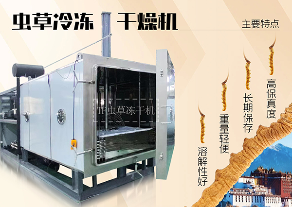 冷凍干燥機|凍干機|真空冷凍干燥機|大型冷凍干燥機|食品凍干機|制藥真空冷凍干燥機|食品凍干設備|制藥冷凍干燥機