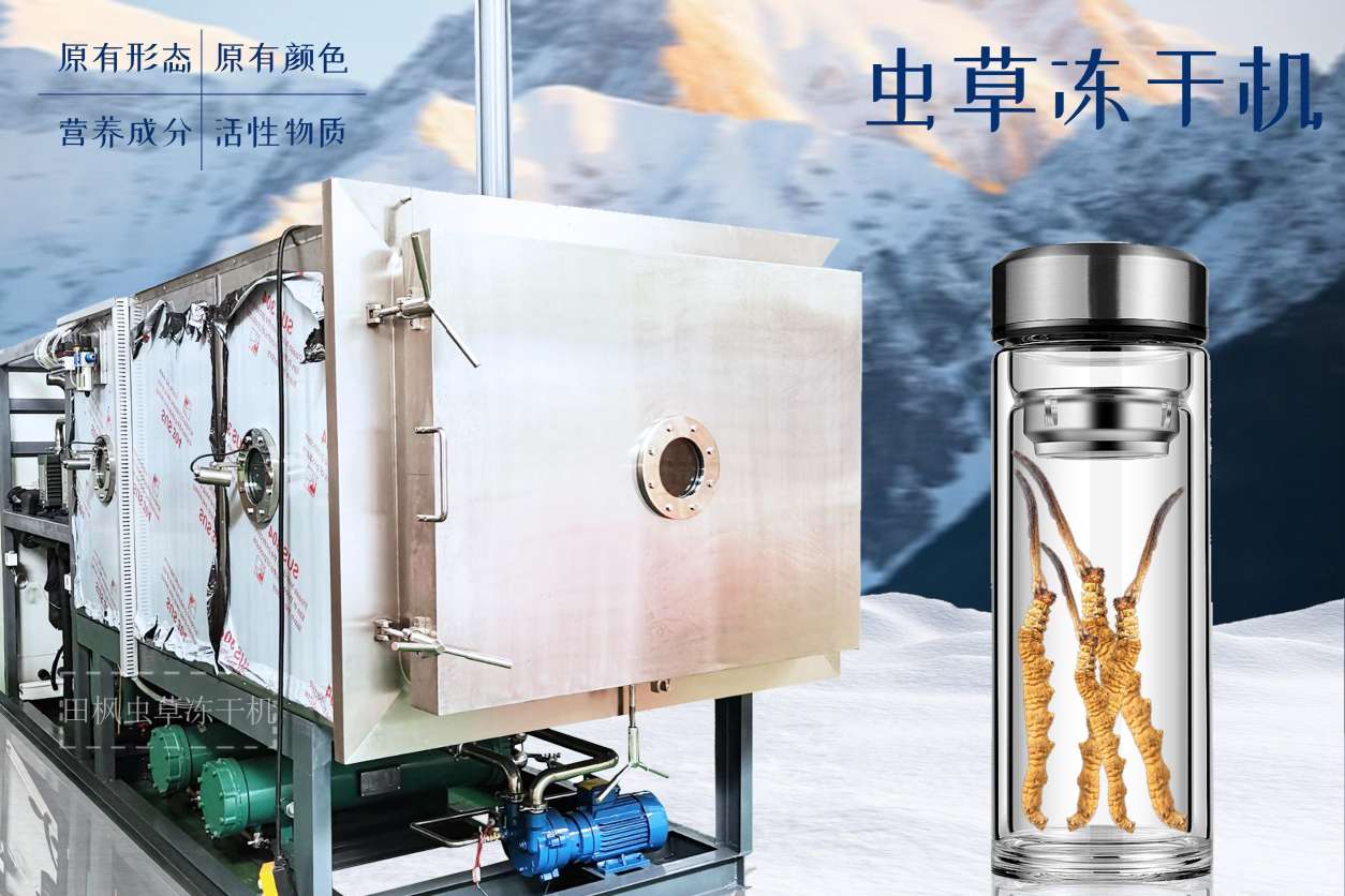 17213500302230.jpg 蟲(chóng)3.jpg