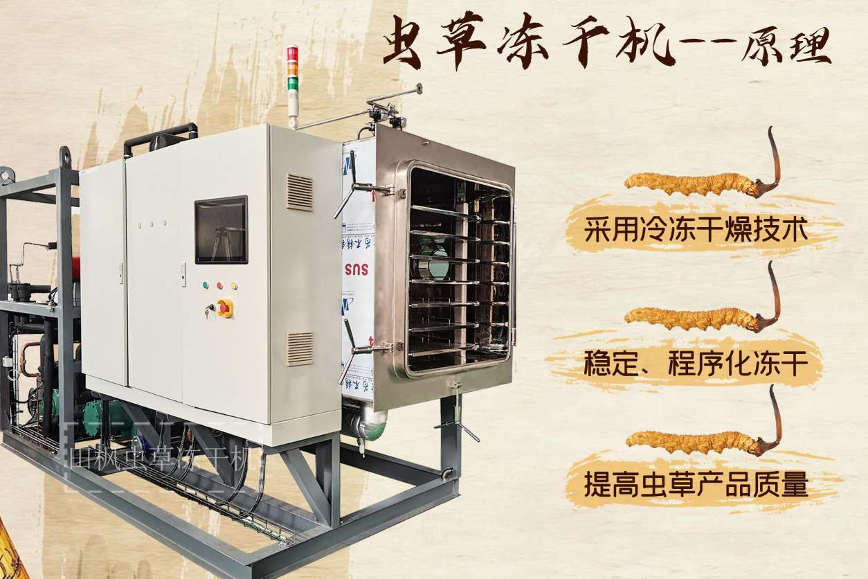 17213502341035.jpg 蟲5.jpg