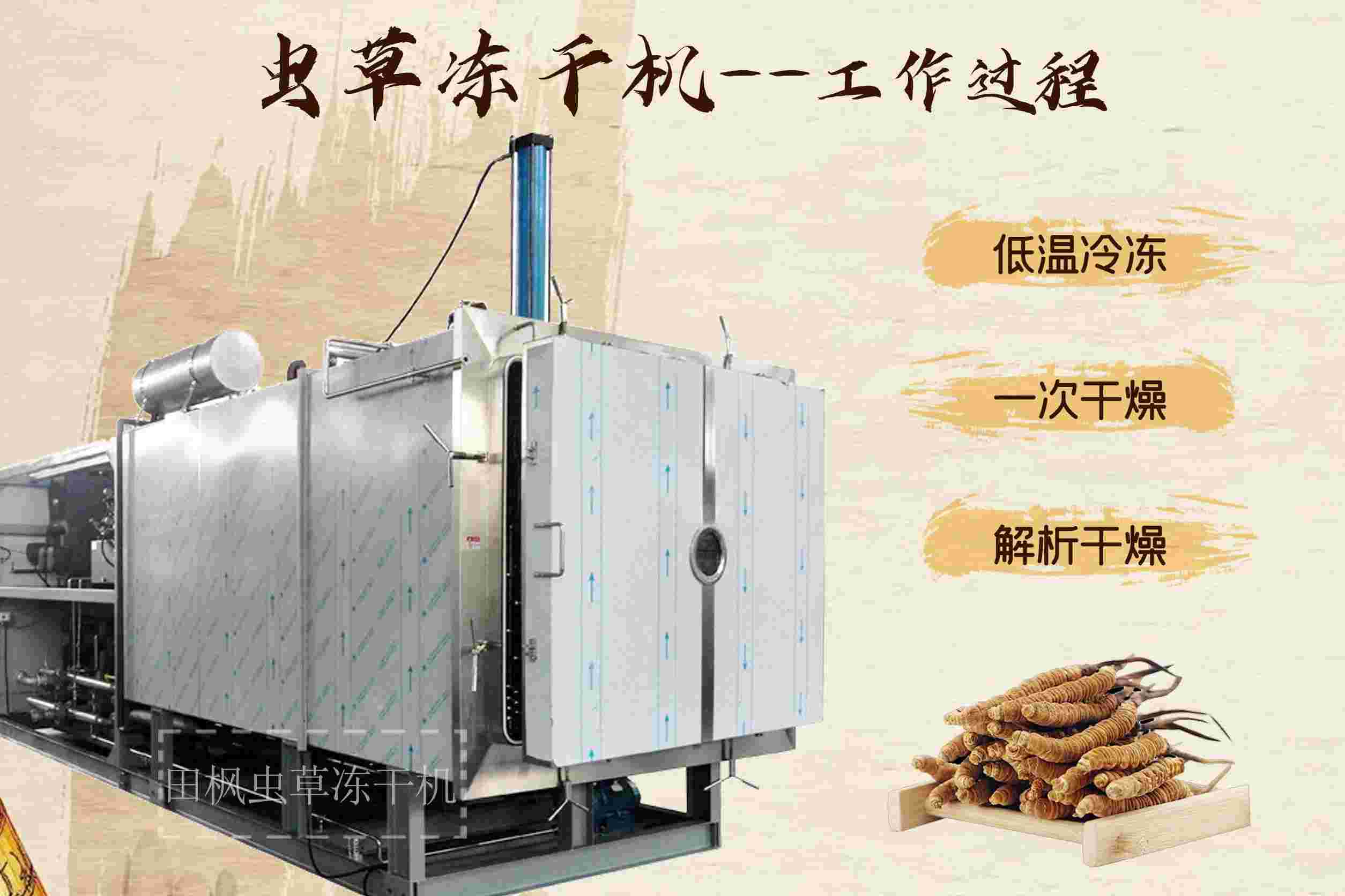 17213502421672.jpg 蟲6.jpg