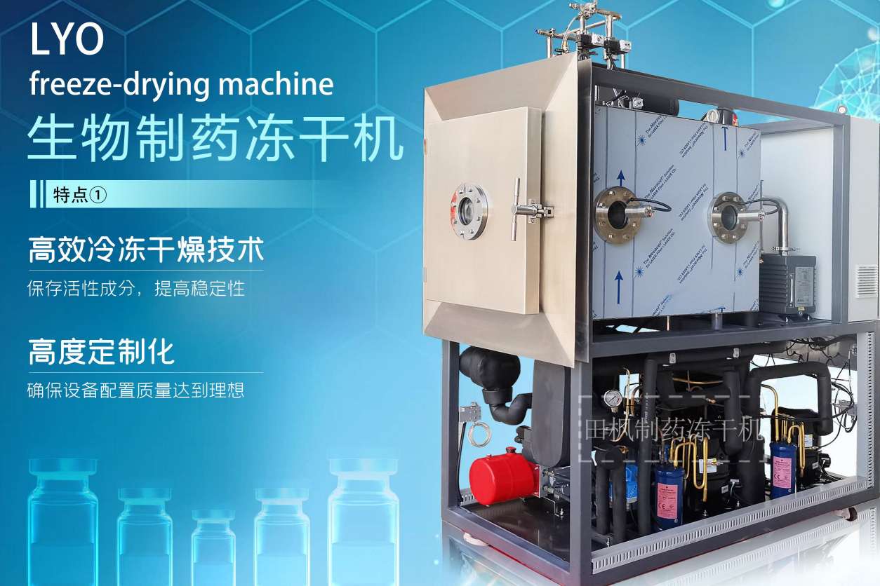 17255021038232.jpg 17255021038232.jpg