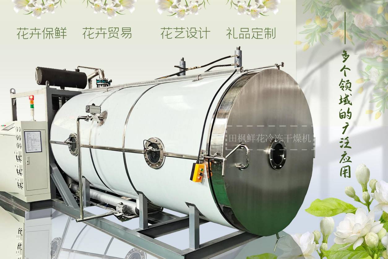 17313041085657.jpg 17313041085657.jpg