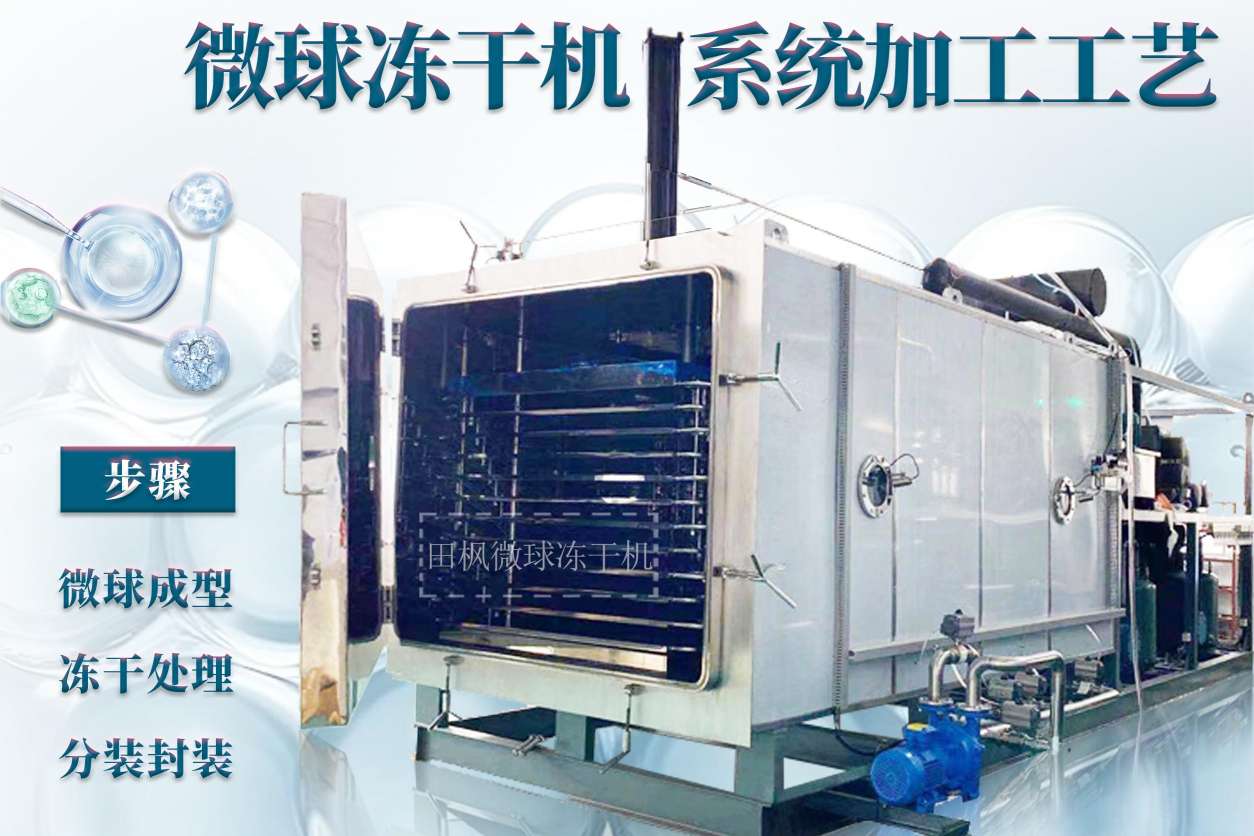 17337054659596.jpg 17337054659596.jpg