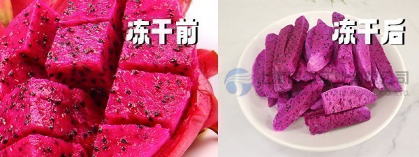 17352881914314.png 圖片 1.png