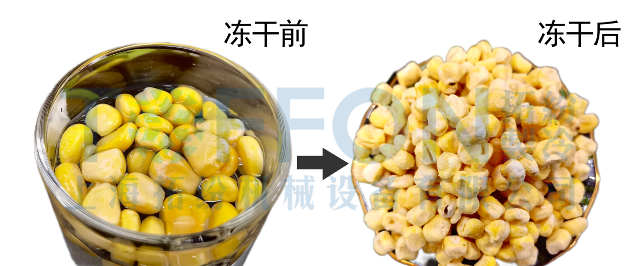 17416722223584.png 圖片 2.png