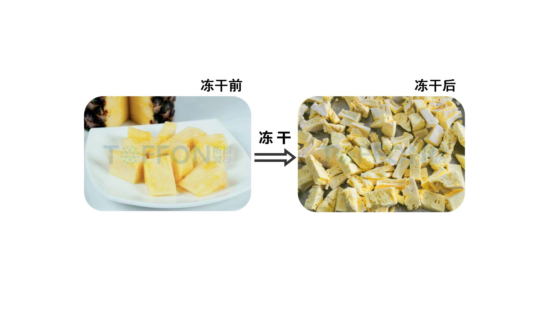 17425478016462.png 圖片 2.png