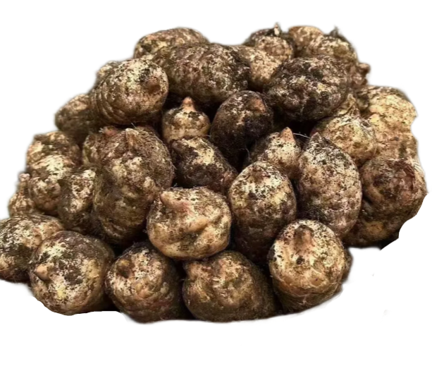 17444348818443.png 圖片 2.png