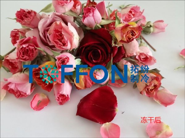 17453044058987.png 圖片 1.png