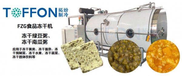 食品凍干機凍干綠豆粥