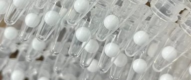 17745068119515.png 圖片 1.png