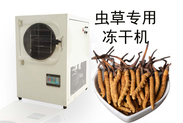 蟲草冷凍干燥機