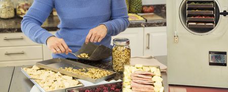 食品凍干機(jī)